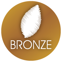 bronze-package